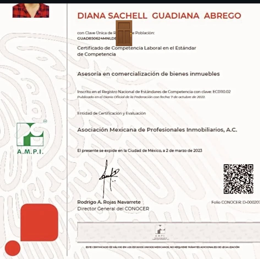 Logotipo de Diana Sachell
